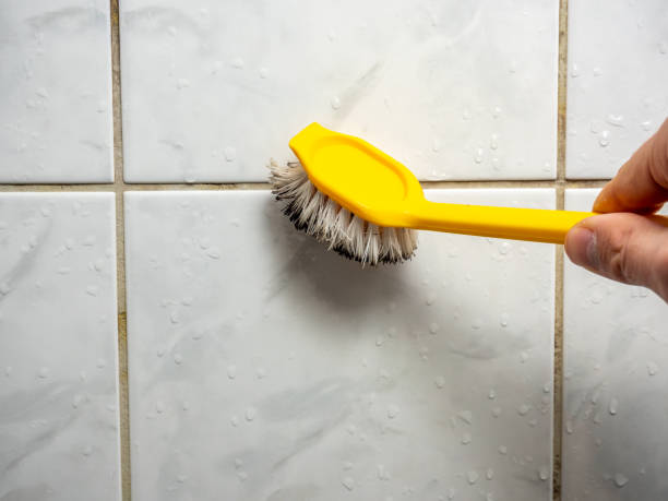 Best Mold Remediation for Schools in Farmersville, OH