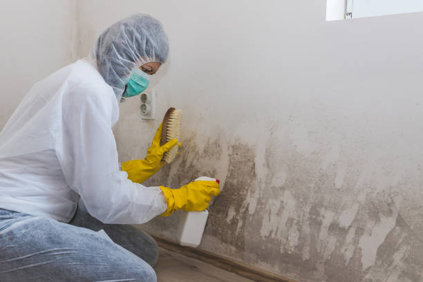 Farmersville, OH Mold Remediation Company