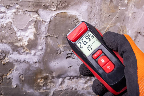 Best Post-Remediation Services in Farmersville, OH