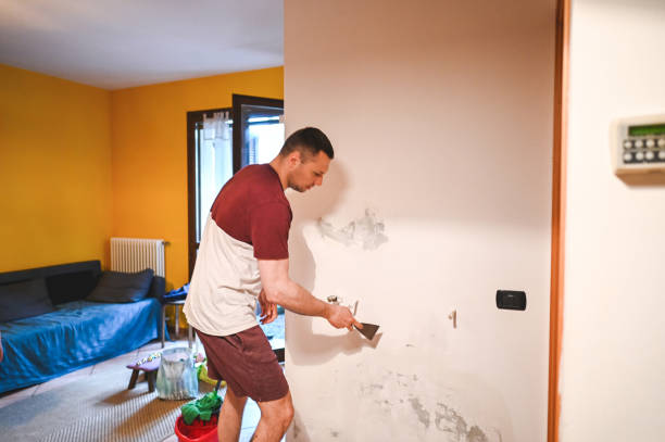 Best Localized Mold Remediation (e.g., coastal areas, humid climates) in Farmersville, OH
